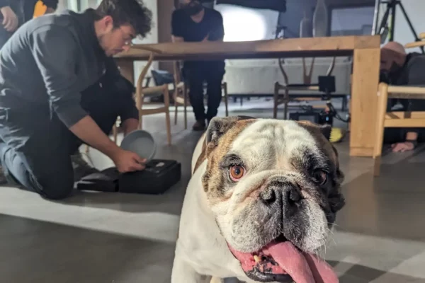 Tournage_X-Force_14.80_1