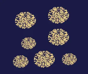 Joune_pattern_etiquette_04